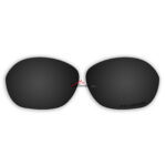 Replacement Polarized Lenses for Oakley Warm Up OO9176 (Black)