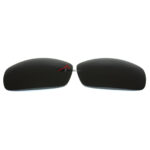 Polarized Replacement Sunglasses Lenses for Spy Optics Logan (Black Color Lenses)