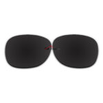 Polarized Sunglasses Replacement Lens For Ray-Ban RB2132 (55mm) (Black Color)