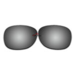 Polarized Sunglasses Replacement Lens For Ray-Ban RB2132 (55mm) (Silver Coating)