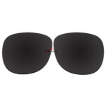 Polarized Sunglasses Replacement Lens For Ray-Ban WAYFARER RB2140 (54mm) (Black Color)