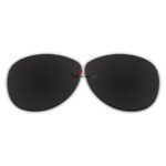 Polarized Sunglasses Replacement Lens For Ray-Ban RB8301 (59mm) (Black Color)