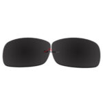 Polarized Sunglasses Replacement Lens For Ray-Ban RB4075 (61mm) (Black Color)