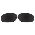 Polarized Sunglasses Replacement Lens For Ray-Ban RB4115 (57mm) (Black Color)