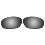 Polarized Sunglasses Replacement Lens For Ray-Ban RB4115 (57mm) (Silver Coating)