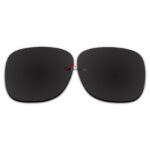 Polarized Sunglasses Replacement Lens For Ray-Ban JUSTIN (54mm) RB4165 (Black Color)