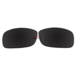Polarized Sunglasses Replacement Lens For Ray-Ban RB4057 (61mm) (Black Color)