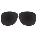 Polarized Sunglasses Replacement Lens For Ray-Ban FOLDING WAYFARER RB4105 (54mm) (Black Color Lens)
