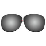 Polarized Sunglasses Replacement Lens For Ray-Ban FOLDING WAYFARER RB4105 (54mm) (Silver)