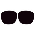 Polarized Replacement Sunglasses Lenses for Spy Optics Beachwood (Black)