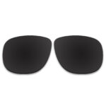 Polarized Sunglasses Replacement Lens For Ray-Ban RB4147 (60mm) (Black)