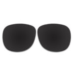 Polarized Sunglasses Replacement Lens For Ray-Ban Justin RB4165 (51mm) (Black Color)