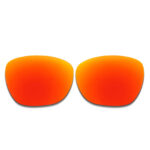 Polarized Sunglasses Replacement Lens For Ray-Ban RB4175 (Fire Red)