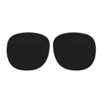 Polarized Replacement Sunglasses Lenses for Spy Optics Quinn (Black)